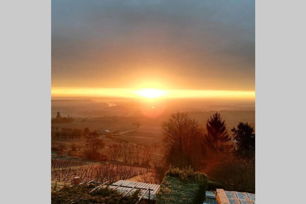 Vue Panoramique Sur Le Vignoble Sancerre Exterior foto
