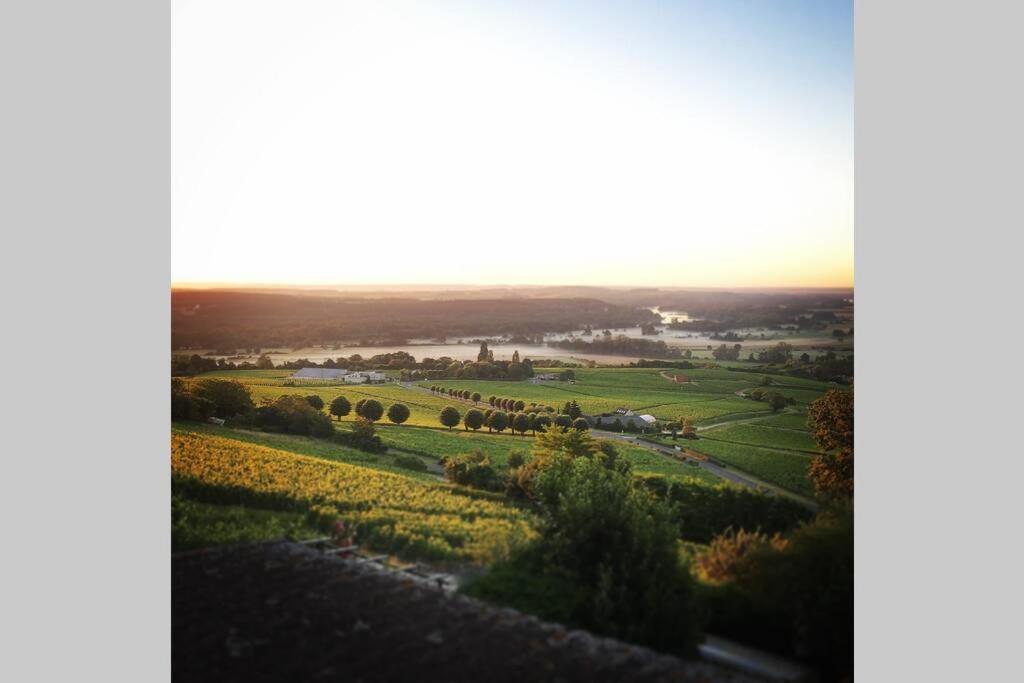 Vue Panoramique Sur Le Vignoble Sancerre Exterior foto