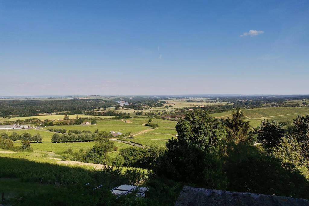 Vue Panoramique Sur Le Vignoble Sancerre Exterior foto